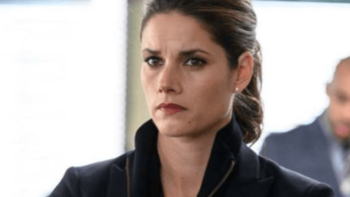 Missy Peregrym Net Worth