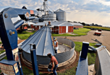 Larson Farms Net Worth