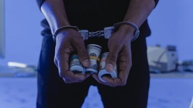 fraud hotline contact numbers