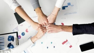 fraud support contact numbers